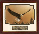 Click here: "Does the eagle soar at your command and build his nest on high? Job 39:27"