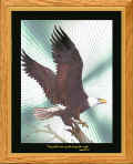 Click here: "They will mount up with wings like eagles. Isaiah 40:31"